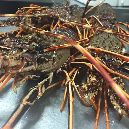 Couette-café Residenza Hostaria Del Pavone