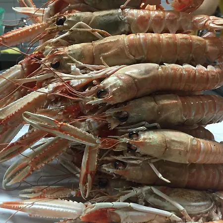 Couette-café Residenza Hostaria Del Pavone 3*