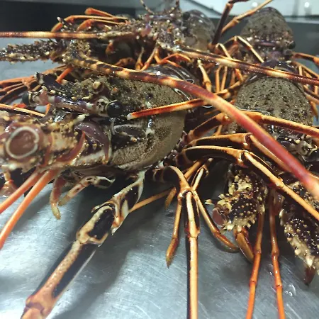 Residenza Hostaria Del Pavone Bed & Breakfast Vasto