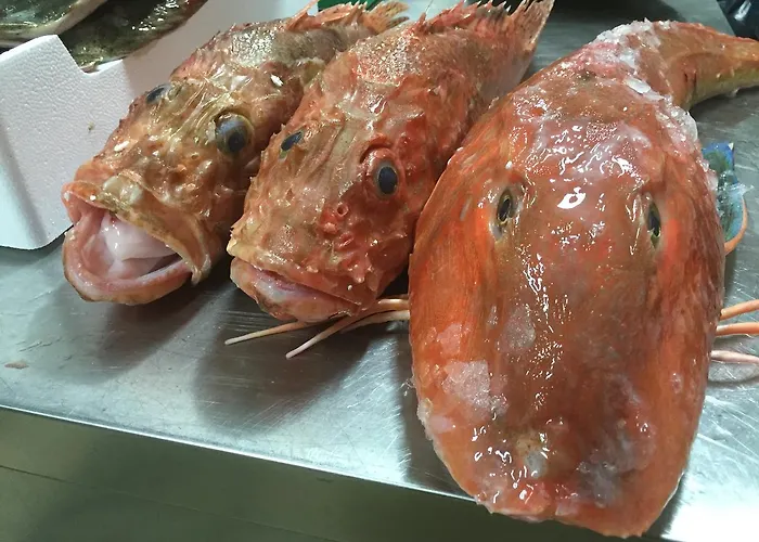 Residenza Hostaria Del Pavone Couette-café