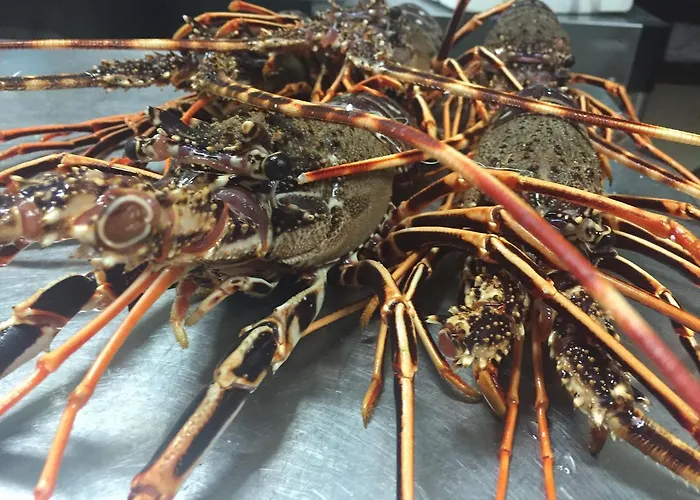 Residenza Hostaria Del Pavone Отель типа 